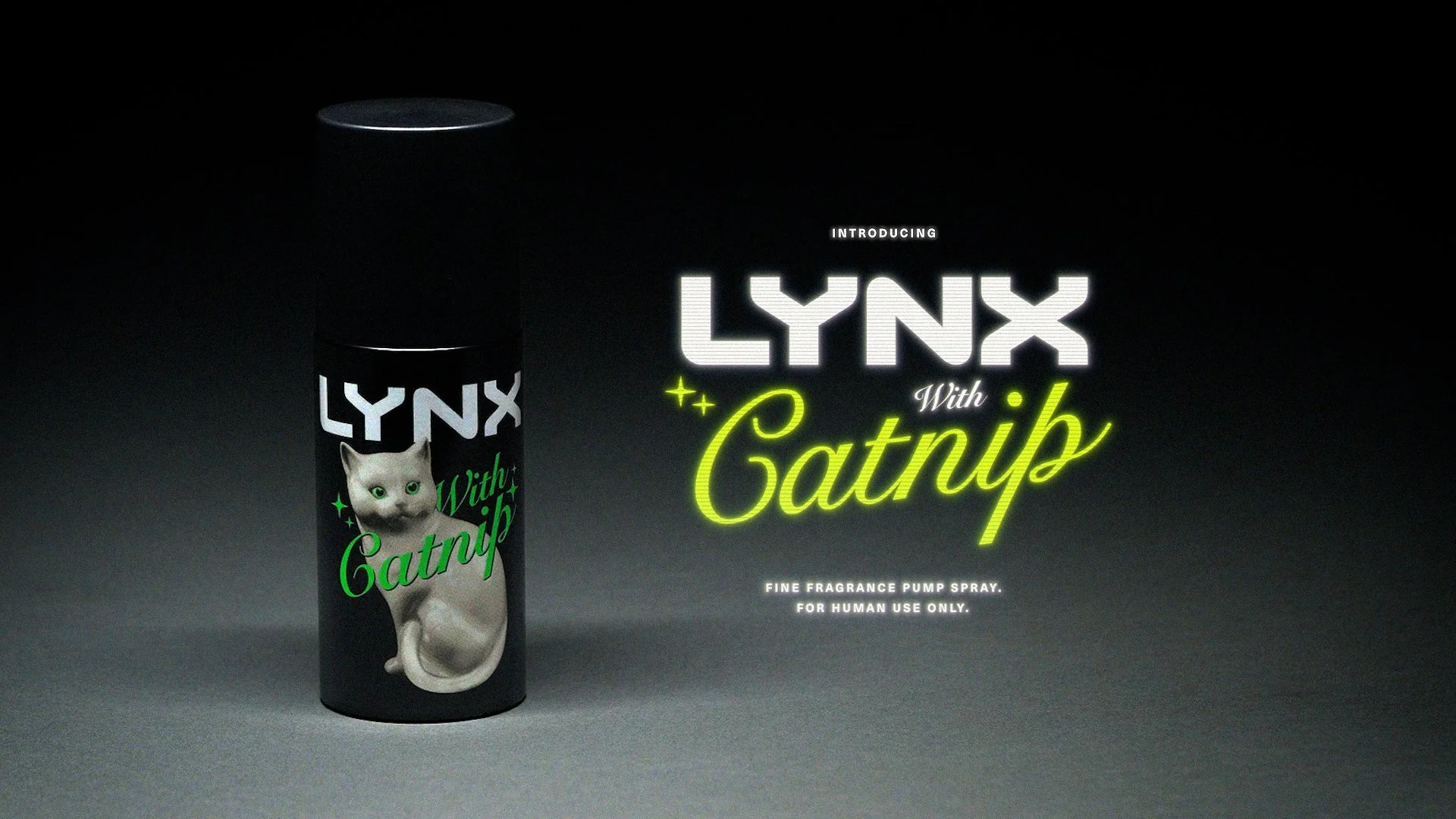 Lynx With Catnip | Lynx UK — Josie & Eze's Portfolio | Creative Team